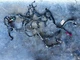 2009-2013 Dodge Ram 1500 4.7L AWD Engine Wire Harness Assembly OEM