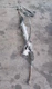 ✅️2011-2013 Infiniti G37 Sedan Power Steering Rack Assembly OEM