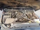 Used Electronic Stability System Control Module fits: 2009 Jeep Wrangler Stabili