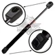 Qty1 Lift Support Gas Sping Shock 6598 Front Hood For Porsche Cayenne 2003-2012