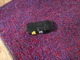 FRONT RIGHT SEAT CONTROL MODULE ASSEMBLY OEM 72K 2021-2023 TESLA MODEL Y MY