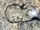 03 04 2005 2006 MERCEDES CL500 RIGHT FRONT ABS WHEEL SPEED SENSOR #54