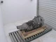 Used Automatic Transmission Assembly fits: 2013 Scion FR-S AT Grade A