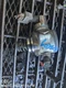 FUEL PUMP ENGINE MOUNTED OEM 17-20 NISSAN PATHFINDR 1YR WRNTY