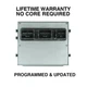 Engine Computer Programmed/Updated 2005 Ford Expedition 5L1A-12A650-MA DDC0 5.4L
