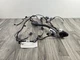 2023 - 2024 LINCOLN CORSAIR   OEM REAR RIGHT DOOR WIRING HARNESS PZ1T14632