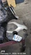 ENGINE COVER OEM 2013 KIA OPTIMAKIA