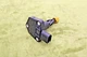 BMW F80 F82 F10 F30 X1 X3 X5 X6 N20 Motor Engine Oil Level Sender Sensor OEM 90K