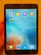 Apple iPad mini 1 16GB, Wi-Fi, 7.9in - Space Gray/ Black, READ