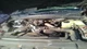 Chassis ECM Transmission Fits 17-22 FORD F250SD PICKUP 28048479