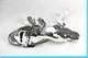 07-12 Lexus XF40 LS460 Rear Left Door Lock Latch Actuator W/ Easy Closer OEM