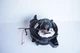 BMW X3, F25 A/C Heater Blower Motor Fan OEM T1021327U CK0195   XXECB1