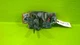 04 05 06 07 08 09 MAZDA 3 SDN HOOD LOCK LATCH OEM 3647-18