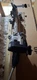 New OEM genuine Toyota Electric Steering Gear 2019-2022 Rav4 44250-0R023 nice