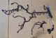 16-19 Jaguar F-Pace 2.0L Engine Wiring Loom G4D312A690BC