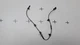 Tesla Model 3 2021-2023 Front Right/Left ABS Wheel Speed Sensor 1188761-00-A OEM