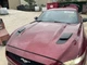 Factory Hood Panel 2015 2016 2017 FORD MUSTANG RR Rub Red ***HAIL***     1025295