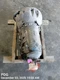 TRANSMISSION OEM 12-14 DODGE CHALLENGE 1YR WRNTY