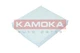 Kamoka F409901 Filter, Cabin Air for Chevrolet Fiat Ford Saab Volvo