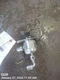 FUEL PUMP ENGINE MOUNTED OEM 11-14 MINI MINICOOPE 1YR WRNTY