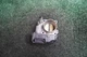 2015 2016 2017 HONDA Accord 2.4L ENGINE Throttle Body OEM 151K Miles GMF4A