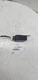 2001 SUBARU OUTBACK LEGACY SEAT BELT TIMER CONTROL MODULE 88013AE00A