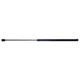 Hood Lift Support Strong Arm 6598 fits 08-12 Porsche Cayenne