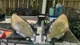  10 11 12 13 Mazda 3/Speed 3 Tech Pack Headlights