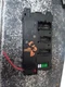 Chassis ECM Body Control BCM Fits 12-18 BMW 320i 815961