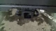 Used Fuel Pump Control Module fits: 2024 Toyota Tundra Fuel Pump LH quarter Grad