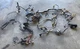 00 2000 CHEVROLET TAHOE SUBURBAN 4X4 DASH WIRE HARNESS FUSE BOX