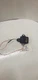 2007-12 LEXUS ES350 YAW RATE CONTROL MODULE UNIT "8918342010"