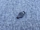 WINDSHIELD WIPER RAIN SENSOR ASSEMBLY OEM 96K 09-18 AUDI A6 A7 S6 S7 RS7