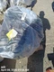 ENGINE MOTOR OEM 12-15 MINI MINICOOPE 1YR WRNTY