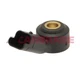 Knock Sensor For BMW Citroen DS Fiat Mini Peugeot Cambiare VE369049 2 Pins