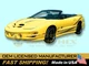 2002 Pontiac Firebird Trans Am Collector's Edition Decals Graphics & Stripes Kit