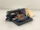 2006 Mercedes E350 Rear SAM Trunk Control Fuse Box OEM 2115455101