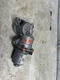 2021 CHEVROLET SILVRDO15 Transfer Case Motor OEM Part 
