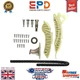 TIMING CHAIN KIT MINI BMW N14B16 CITROEN N14 R57 C4 PICASSO 1.6 PETROL TK-BM003