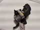 2016-2023 Nissan Maxima Power Steering Pump Assembly
