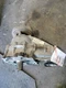 TRANSFER CASE OEM 14-22 JEEP GRANDCHER 1YR WRNTY