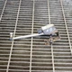 2015 Porsche Panamera 970 Rear Left Height Sensor 97033302103 3.6 Petrol