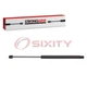 Strong Arm 6598 Hood Lift Support for SG206007 95551135900 Body py