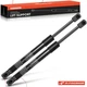A-Premium 2x Rear Trunk Lift Support Shock Struts for Mazda 6 2009-2013 Sedan