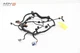 2024-2025 TESLA MODEL 3 FRONT RIGHT PASSENGER SIDE DOOR WIRE WIRING HARNESS OEM