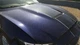 18 FORD MUSTANG SHELBY GT350 HOOD BLUE