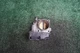 2015 2016 2017 2018 HONDA Accord 2.4L ENGINE Throttle Body OEM 111K Miles GMF4A