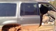Passenger Rear Side Door Electric Fits 98-01 Mercury Mountneer OEM