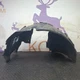 JAGUAR F-PACE X761 16-20 FRONT PASSENGER LEFT WHEEL ARCH LINER HK83-16A574-A