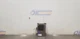 23 FORD F150 DRIVER ASSIST PEDESTRIAN ALERT MODULE RU5T14H474CAG